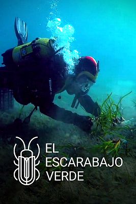 A diver swimming over the seabed.