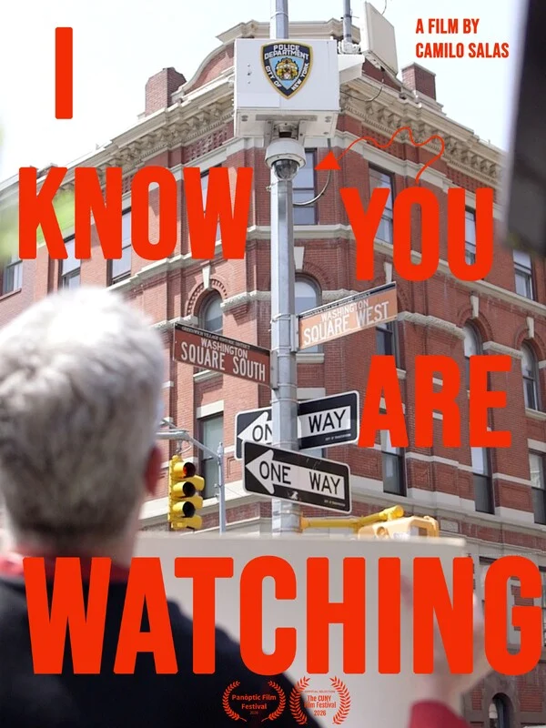 A police surveillance camera on a street corner at Washington Square, New York.