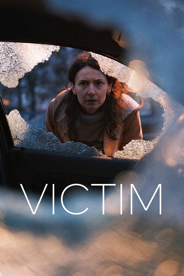 A woman seen through a car's shattered window.